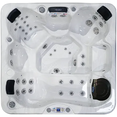 Avalon EC-849L hot tubs for sale in Mission
